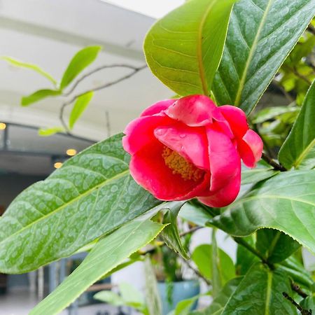 ลา แป เว้ Hotel ภายนอก รูปภาพ
